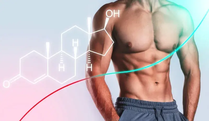 10 dicas para ganhar massa muscular 10 dicas para ganhar massa muscular