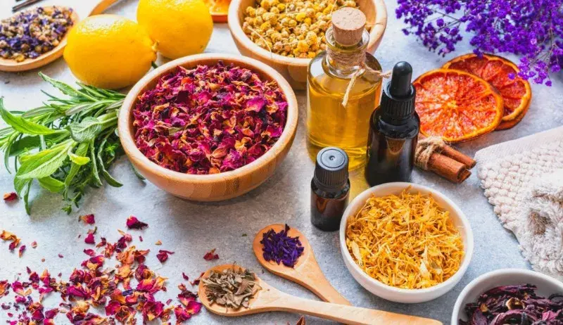 O que são famílias olfativas? Conheça essa classificação dos perfumes O que são famílias olfativas? Conheça essa classificação dos perfumes